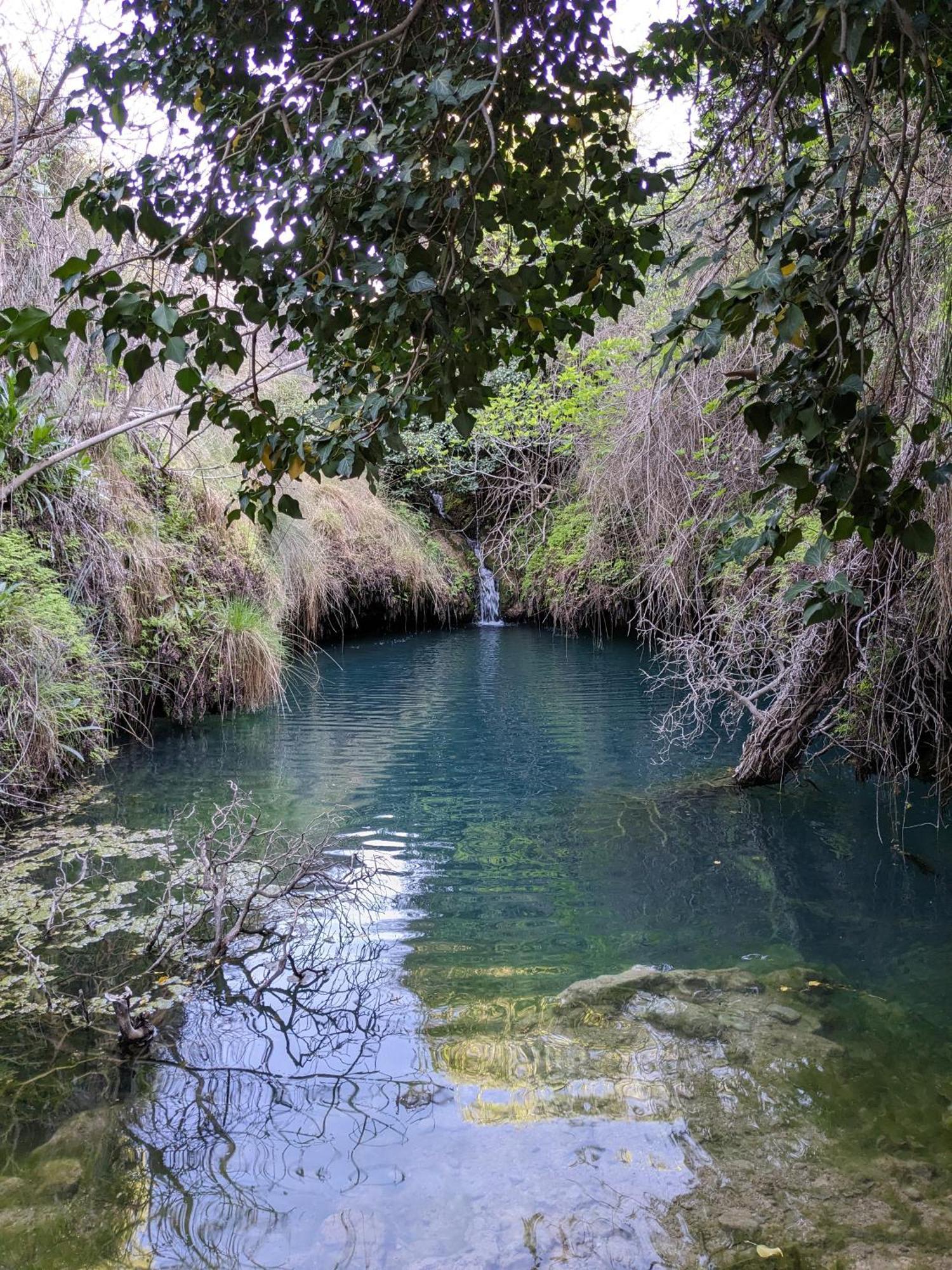 Casa Rural El Olivo Villamalea Εξωτερικό φωτογραφία